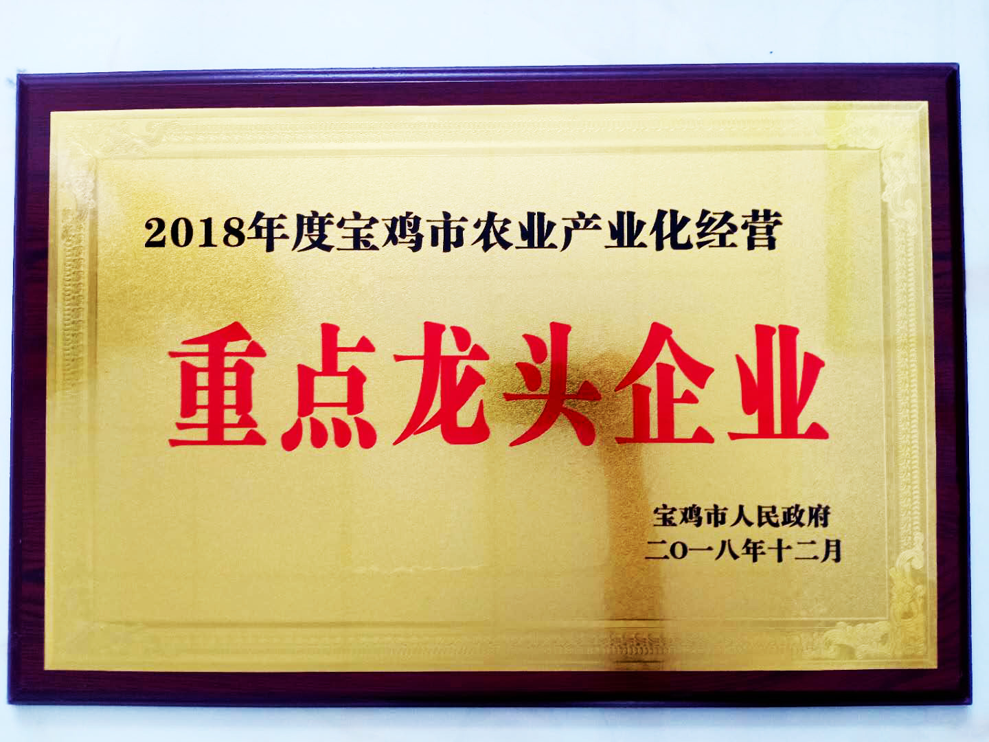 2018年重点农头企业